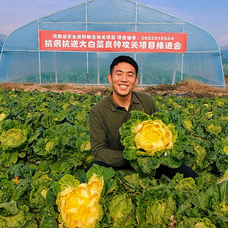 龍芽皇